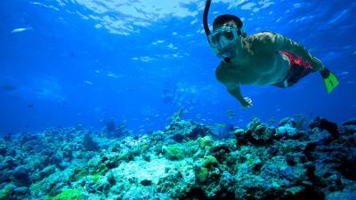 Brunei Snorkeling: Explore the Underwater World